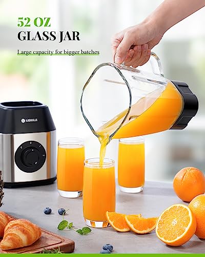 Professional Crusher Blender 2.0, 1200W Powerful Smoothie Blender, 52oz Glass Jar, Shakes and Smoothies, Ice Crush, Frozen Fruit, Stainless Steel - Image 5