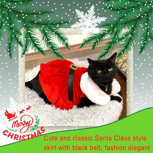 Disfraz Santa Claus para perros talla M rojo miniatura 7