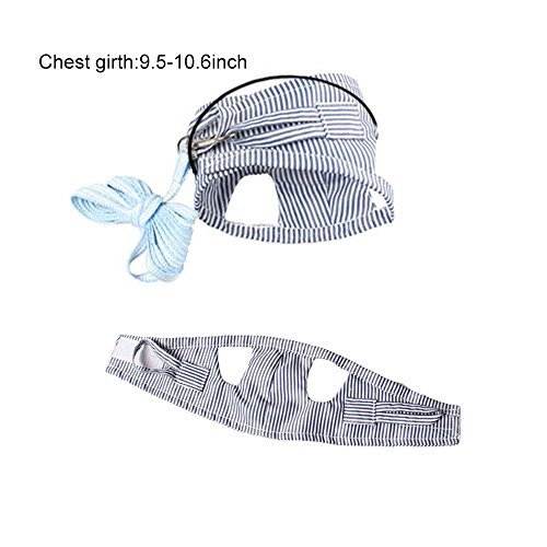 ASOCEA Geschirr und Leine für Kleintiere Verstellbare Laufleine für Haustiere Komfort gepolsterte Weste Trainingsleine für Ratten Leguan Hamster Frettchen