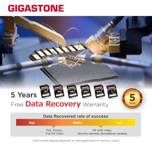 Image of 【5-Years Data Recovery】 GIGASTONE 1TB SD Card, 4K Camera Extreme, Speed Up to 160MB /s, UHS-I A2 V30 U3 C10 SDXC Memory Card High Speed, Compatible with Kodak Olympus Digital Camera