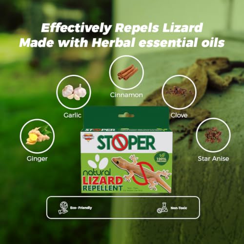 Image of Stoper Natural Lizard Repellent Box| Non-Toxic | Indoor Use | 100% Organic -20g (Pack of 4)