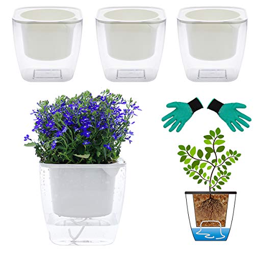 Best Pots For Carnivorous Plants Where to Buy? CarnivorousPlant.info