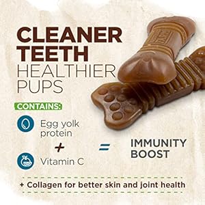 Natural Farm All-Natural Dog Dental Chew, Dog Teeth Cleaning Treats – Fresh Breath, Fight Plaque & Tartar – Canine Mess-Free Oral Care, Teeth Cleaning Chews for Dogs 5-15 Lbs (66 Counts)