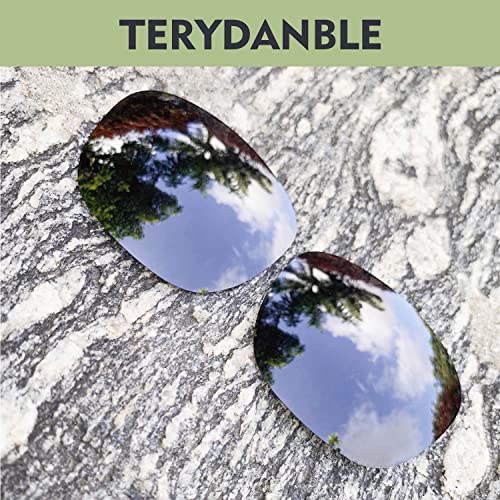 Lentilles pour Oakley Enduro pour remplacer des verres rayés 5 teintes