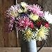 David's Garden Seeds Flower Aster Valkyrie Mix D1916A (Mulit Color) 50 Open Pollinated Seeds