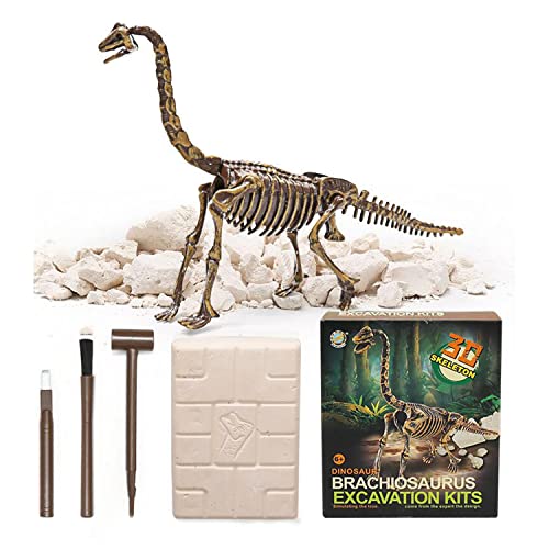 Georgie Porgy Dig it Out Dinosaure Pierre précieuse minérale Kit d'excavation fossile archéologie Science Jouet éducatif Cadeau d'anniversaire pour Enfants garçons Filles 6 7 8 9 Ans (Brachiosaurus )