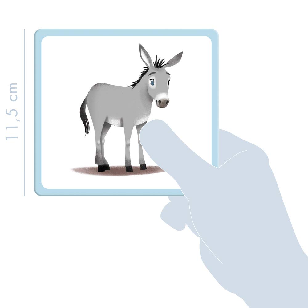 Avenue Mandarine, Ref JE513C, Multilingual Picture Cards, Animal Designs, Features 10 European Languages - Image 3