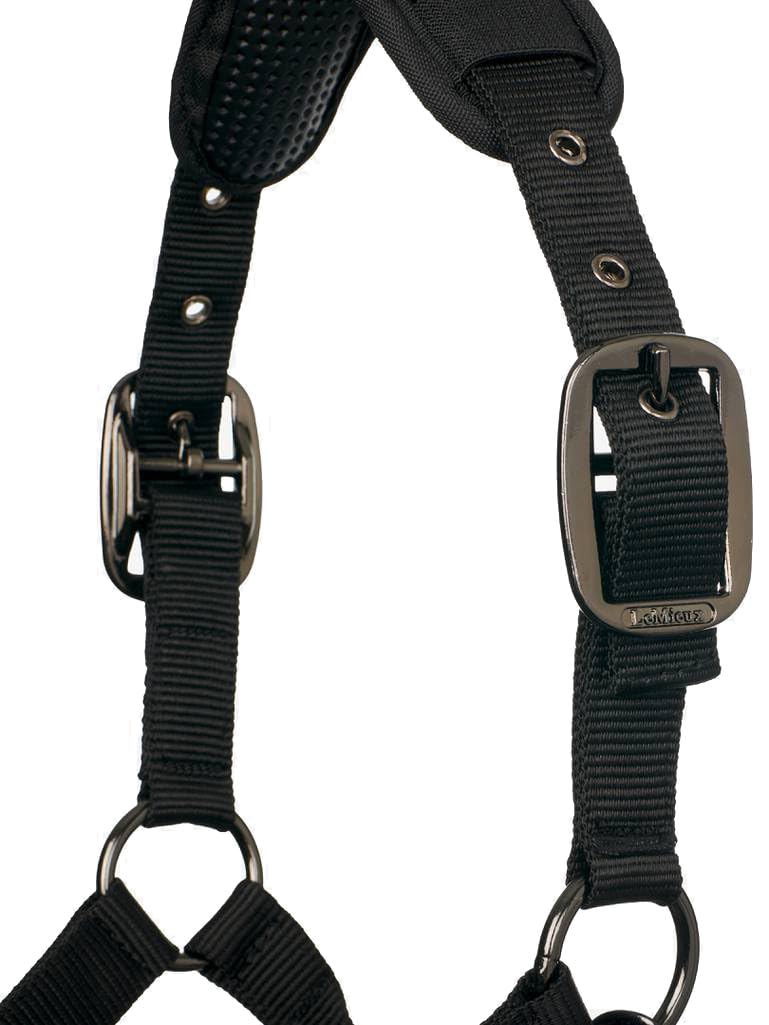 LeMieux Licol Pro-Safe Noir – Full/WB