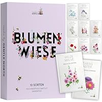 Blumen Samen Set - 10 bunte Blumensamen Sorten für den Garten oder Balkon, die Bienenweide und Wildblumenwiese - Blumenwiese Samen - bunte Wildblumensamen Mischung