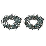 Amazon Basics 100 LED Commercial Grade Outdoor Christmas String Lights - Green Rope, Warm White LED, 33-Foot, 2-Pack