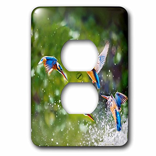 3dRose lsp_254229_6 RR̒̑̃GL]`bNȒ 쐶 WO  vO RZgJo[