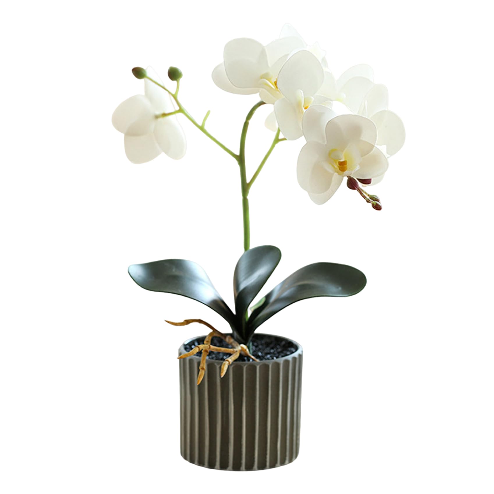 Fake Plants Decorative Artificial Flora 12.6 Inch Tall Realistic Artificial Orchid Plant In A Pot Real Touch Decorative Bonsai Fake Flowers Artificial Flowers In Vase Artificial Plants Indoor White