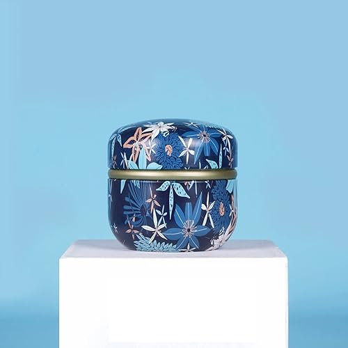 YANHAO Tea Caddy - Caja de almacenamiento de té para té, caramelo, chocolate, azúcar, especias, hierbas y especias