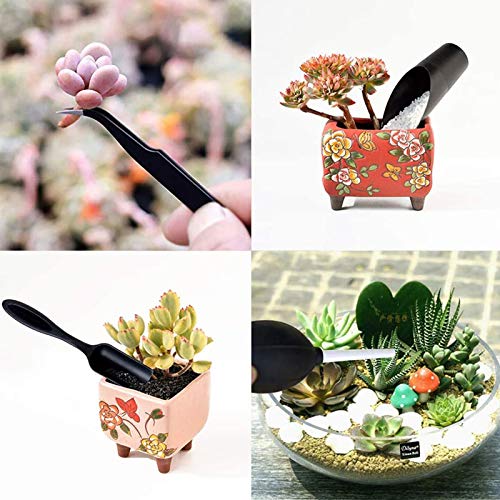 Set de 15 Herramientas de Jardinería SaferCCTV miniatura 4