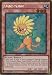 Yu-Gi-Oh! - Dandylion (PGL2-EN030) - Premium Gold: Return of the Bling - 1st Edition - Gold Rare