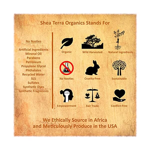 Shea Terra Kalahari Mongongo Cold-pressed Extra Virgin Oil |All Natural & Organic Oil Rich in Protein, Vitamin E & Fatty Acids to Protect & Nourish Hair, Skin & Nails Against Damage– 2 oz