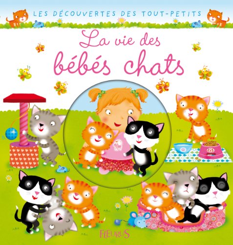 La vie des bébé chats