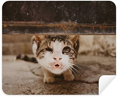 Animal Funny Cat Photograph Shoot Cleaning Cloth Screen Cleaner 2pcs Suede Fabric image 2