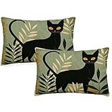 Funda Cojin 70x90 cm Cojines Exterior Impermeable Juego de 2 de Terciopelo Fundas Cojine Hogar Decorativa Rectangulares Almohadas Fundas Para Sofá Cama Silla Habitacion Gato Funda Almohada Negro q-432