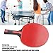 Table Tennis Racket Doublesided Table Tennis Racket Poplar Rubber (Red)