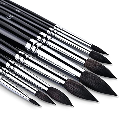Watercolour Brush Set 8pcs Squirrel Hair