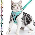 PUPTECK Cat Harness and Leash Set Escape Proof Reflective Cat Walking Harness Adjustable Soft Breathable Mesh Vest for Small Pets, Aquamarine, S
