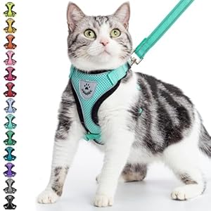 PUPTECK Cat Harness and Leash Set Escape Proof Reflective Cat Walking Harness Adjustable Soft Breathable Mesh Vest for Small Pets, Aquamarine, S