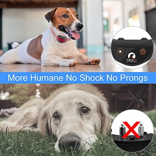 Are Electric Shock Dog Collars Cruel