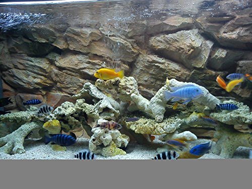 Fond d'aquarium 3D en polyrésine décor unique 196x45cm en 2 sections - 5
