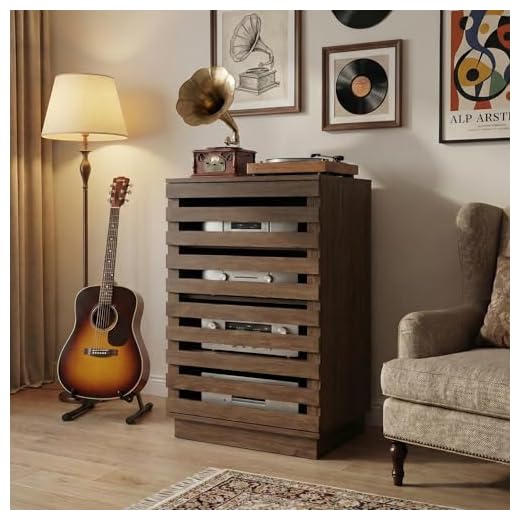 Modern Slatted Audio Component Media Cabinet