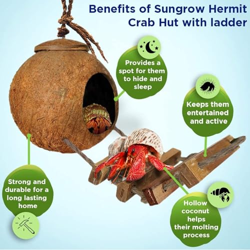Image of SunGrow Hermit Crab Coco Hut with Ladder, Hamster & Hermit Crab Hideout, Coconut Hide for Reptiles, Crab Cage Climbing Toys, Coconut Shell Mouse House, Habitat Tank Accessories, 5 inch