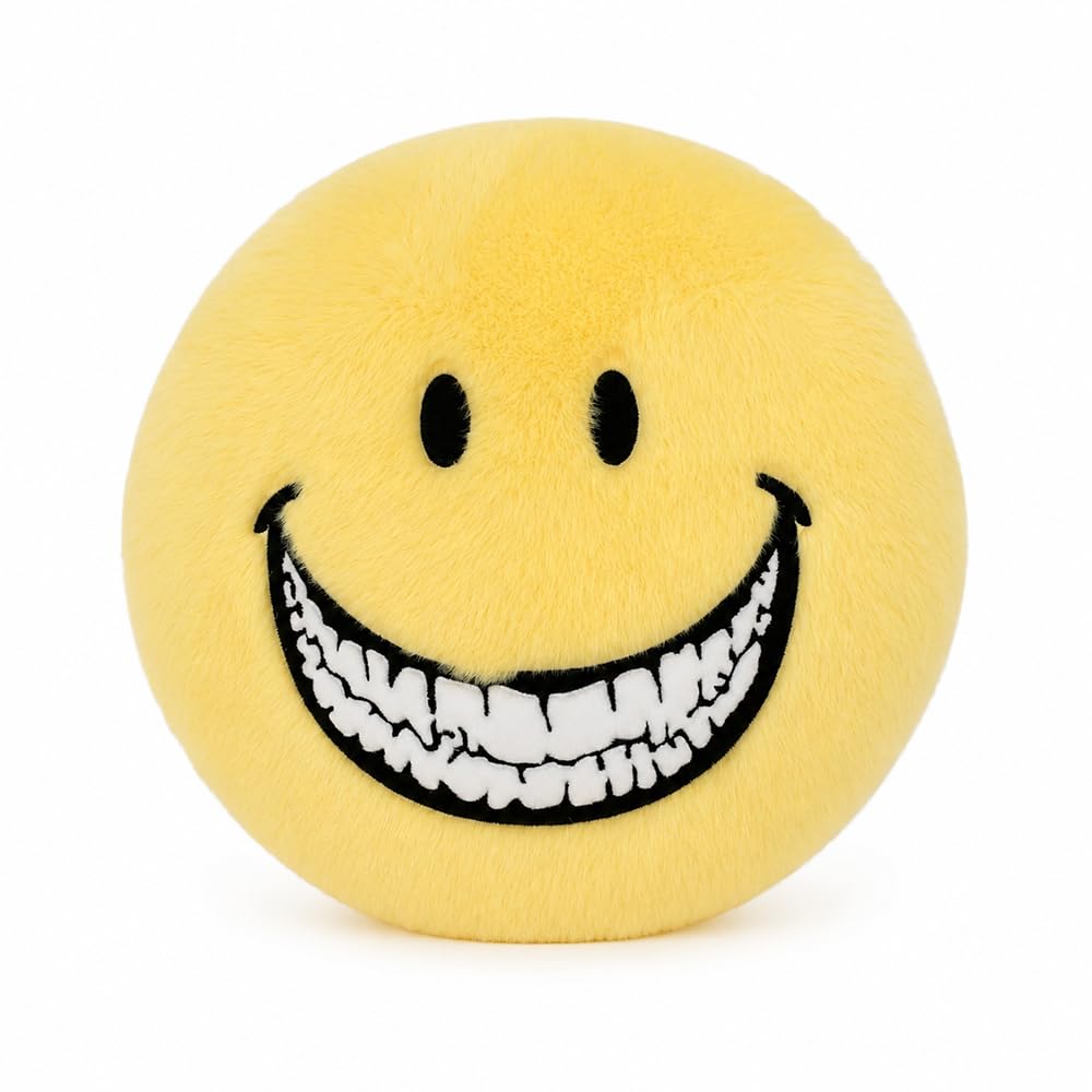 Wxeadu Yellow Smiley Face Plush, 9.8 Inch Cushion with a Smiley Face