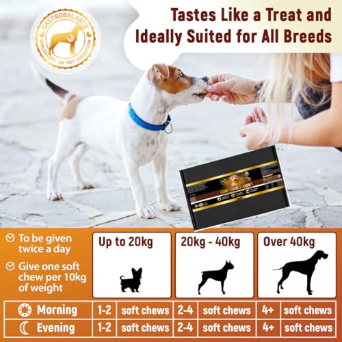 GastroBalance Entlastung der perianalen Drüsen für Hunde – 60 Kauknospen für Hunde – Speck Geschmack (Englisch)