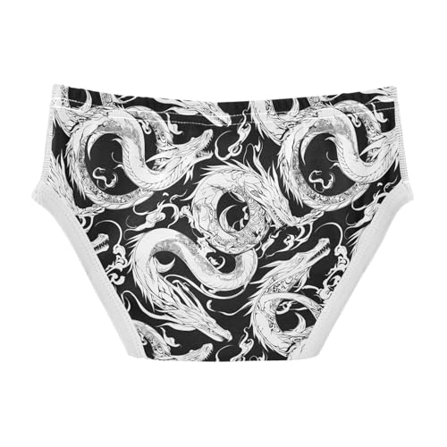 visesunny Boys Potty Training Underwear Cool Black Snake Dragon Breathe Cotton Briefs Size 2T-8Y for Toddler2