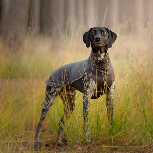 DOG Copenhagen Pomppa Jumppa Fleece-Mantel für Hunde, 52 cm, Graphit