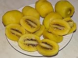50 Seed Golden Yellow fruta de kiwi VerySweet Carne Actinidia chinensis piel lisa