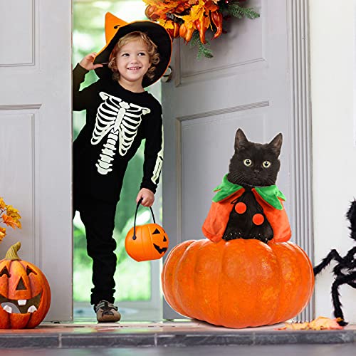 Disfraz Halloween para perros y gatos 4 piezas talla L miniatura 5