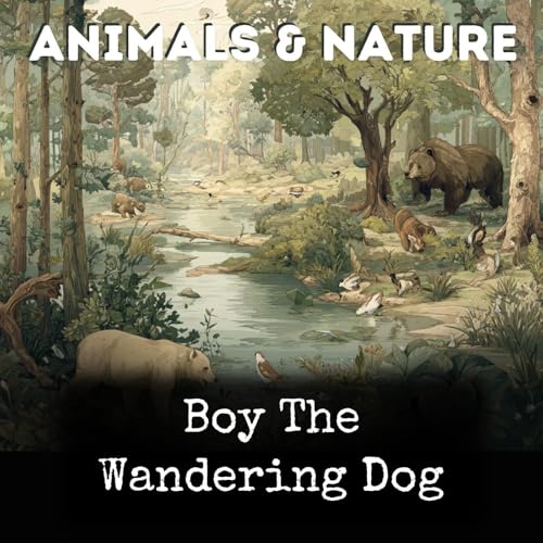 Couverture de Boy The Wandering Dog