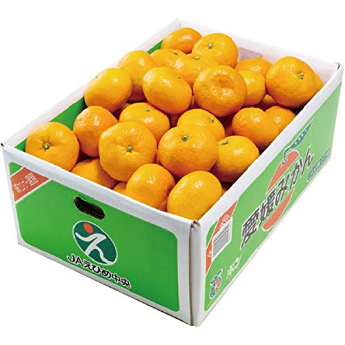 温州みかん 5kgの人気商品 通販 価格比較 価格 Com