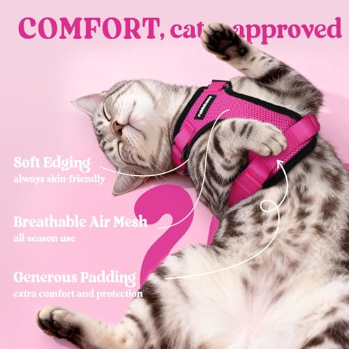 Image of rabbitgoo Cat Harness and Leash Set, Escape Proof Vest, Rose Red | Soft Breathable Mesh, Easy Adjustable Fit, Snap Buckles, Sturdy Clip, Reflective Strips, for Kittens & Small Cats Walks, Xxs