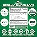 Zazzee USDA Organic Ginger Root 20:1 Extract, 6000 mg Strength, Standardized to 5% Gingerols, 100 Vegan Capsules, 20X Potency, Digestive and Stomach Support, Non-GMO, All-Natural, Made in The USA