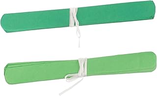 Ciieeo Colgantes De Pompones Decoración De Pompones De Papel Equipo Pompón Decoraciones De Fiesta En Colores Pastel Azul Flores Animador Bolas De Pompones Para 20 Piezas*4