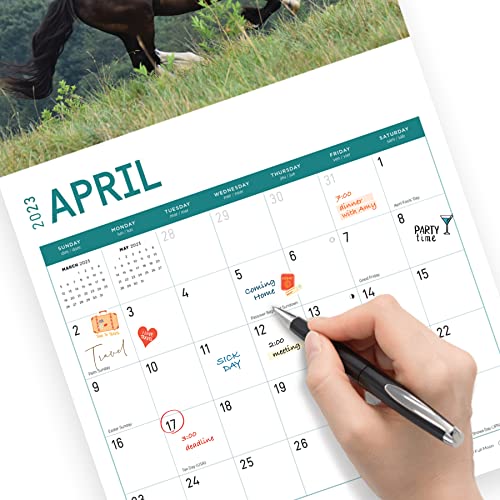 2023 Rescue Horses Monthly Wall Calendar By Bright Day, Calendars For A Cause, 12 X 12 Inch, Cute Beautiful Outdoor Nature Farm Animal Photography #TOP4