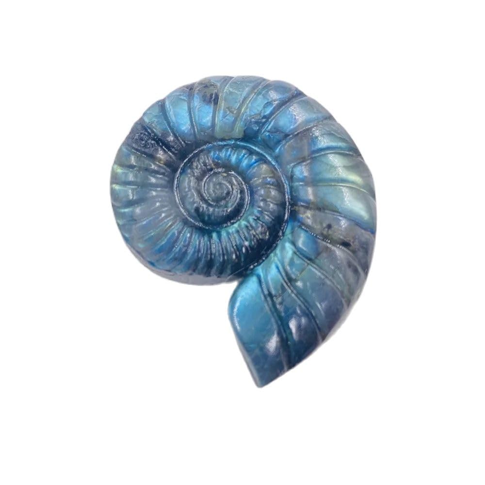 AARTERZZA 1PC Labradorite Ammonite Carving Gorgeous Mystery Transform Flashy Crystal