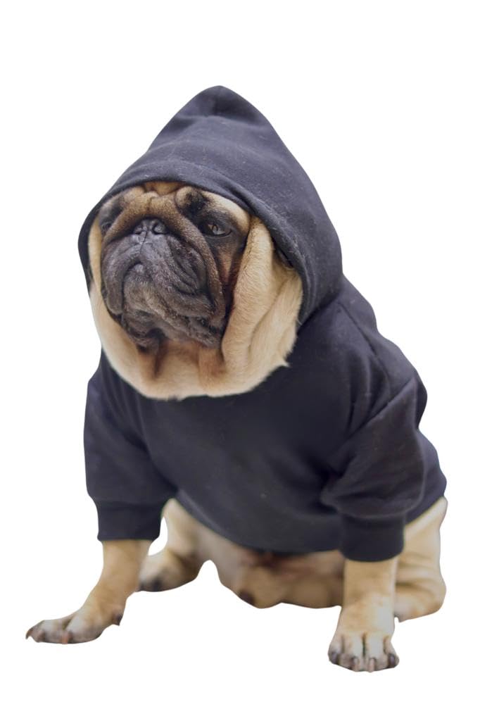 Super Soft Trendy Hoodies for Pet - Ultra Comfort Dog Apparel for Your Fashionable Furie (M) (B0CQ53YYTD) Amazon Price History, Amazon Price Tracker