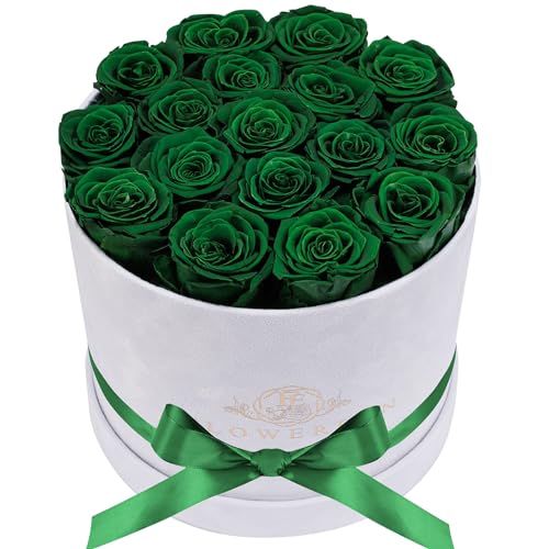 17 Flowers in a Luxury Suede Box, Birthday Gifts for Women, Preserved Flowers, Mothers Day Roses Gift for Mom, Dark Geen