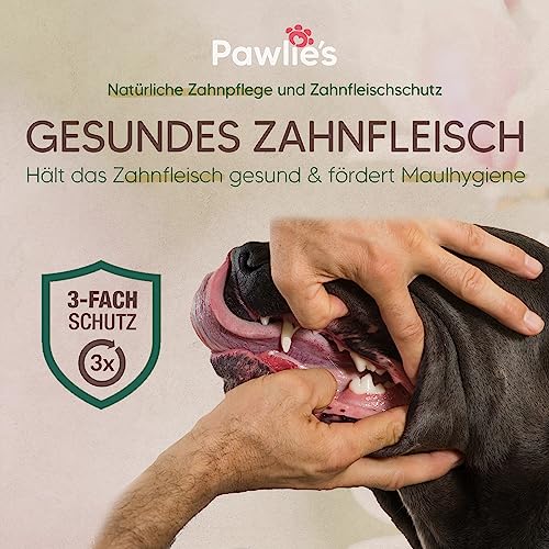 Pawlie's Hundezahnpasta - Natürliche Zahnpflege Hund gegen Zahnstein, Mundgeruch & Zahnfleischentzündung mit Magnolie & Vitamin E | Zahnpasta Hund, Dog Toothpaste, Zahnsteinentferner Hund