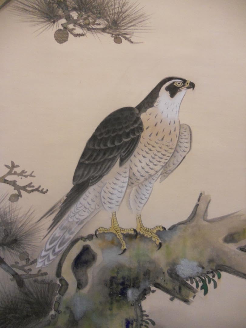 掛け軸 藤岡白鷹 松鷹の図 絹本 希少 軸装 茶道具 掛軸 美品 です。 Amazon.co.jp: 掛け軸 藤岡白鷹 松鷹の図 絹本 軸装 茶道具 掛軸