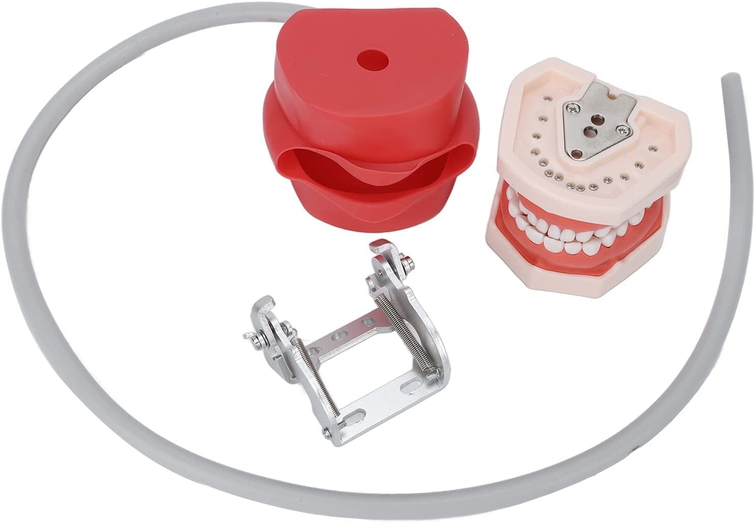 Amazon.co.jp: ファントムヘッド歯科用シミュレーターマネキンヘッド