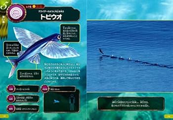 Encyclopédie des Pêches 全6巻 Encyclopédie des Pêches 全6巻 - メルカリ